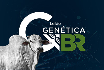 LEILÃO GENÉTICA BR - SÊMEN